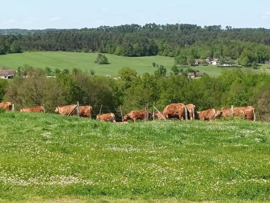 Gîte Aux Bois D'En Temps Lunas  Extérieur photo