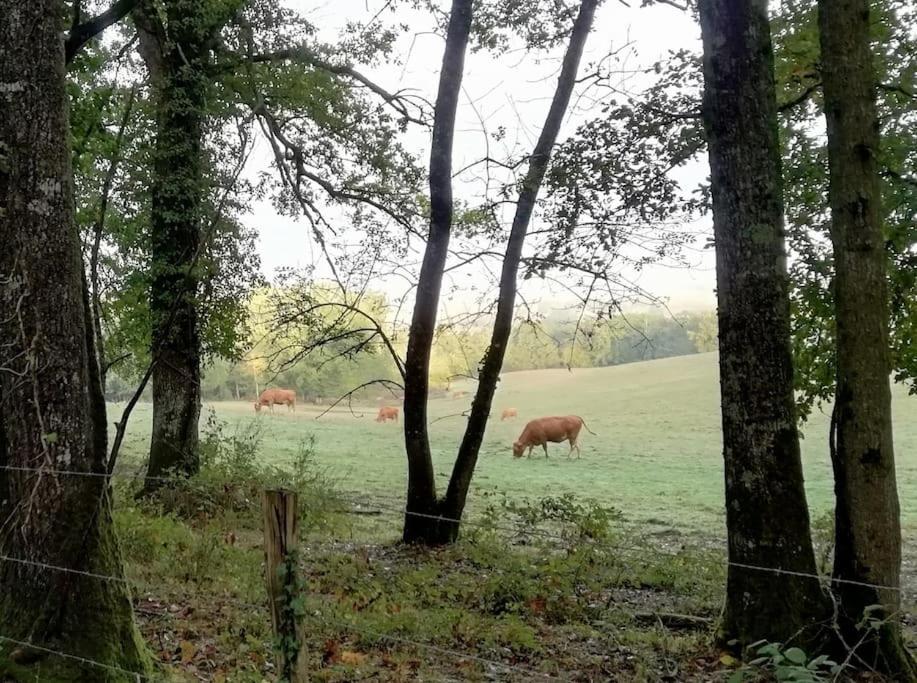 Gîte Aux Bois D'En Temps Lunas  Extérieur photo