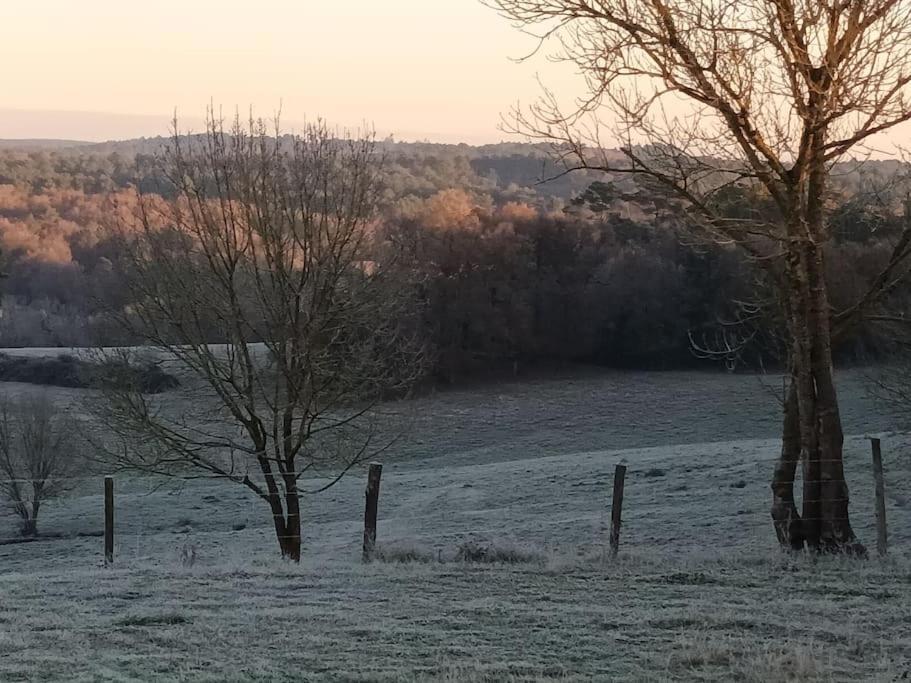 Gîte Aux Bois D'En Temps Lunas  Extérieur photo